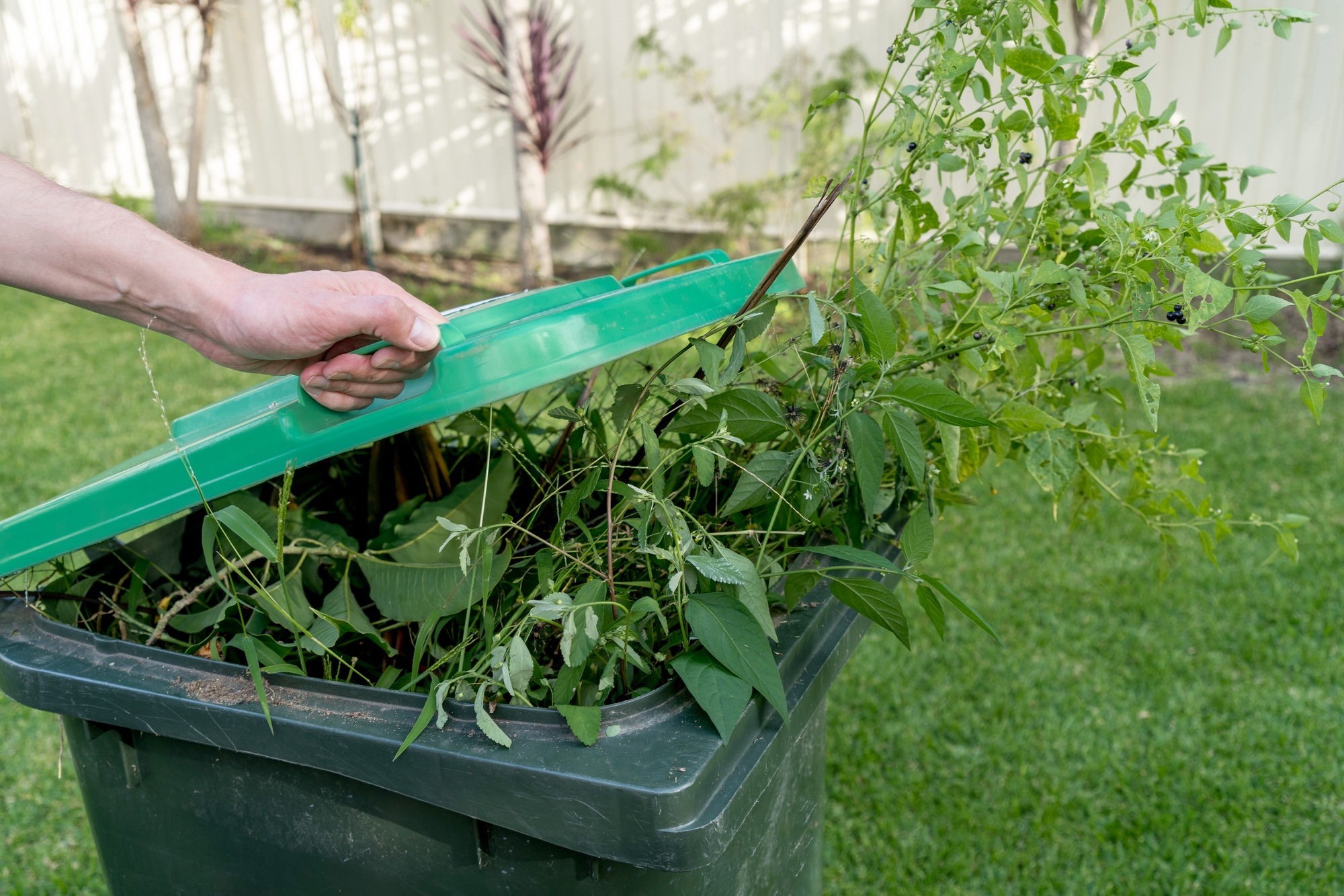 Hand closing a green rubbish garbage bin with Green garden waste. Recycling household waste